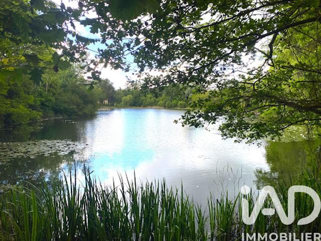 Vente Terrain 21918 m2 Noyen sur Sarthe