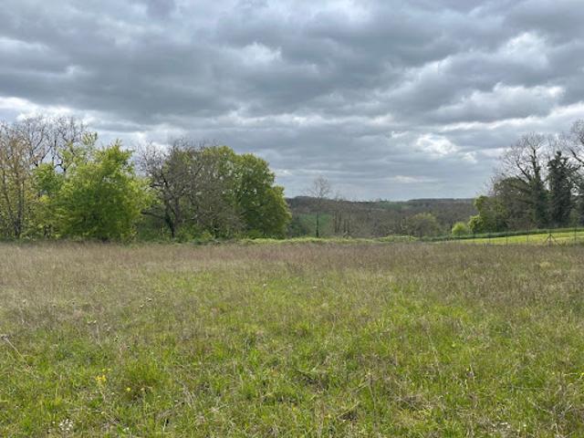 Vente Terrain 2196 m2 Ribagnac
