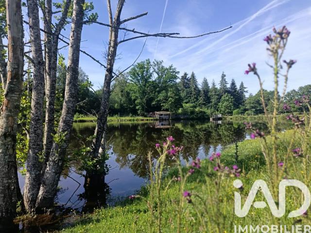 Vente Terrain 21 677 m²