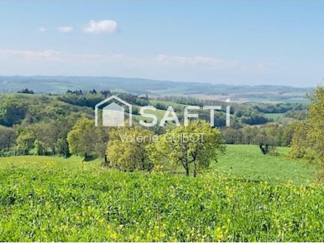 Vente Terrain 220000 m2 Saint Christaud