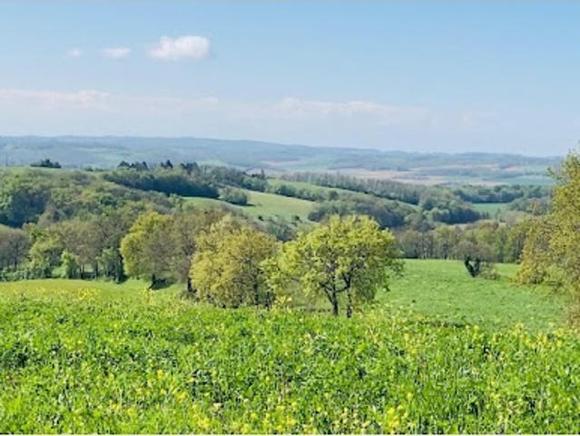 Vente Terrain 220000 m2 Saint Christaud