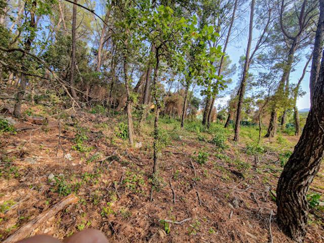 Vente Terrain 2200 m2 Flayosc