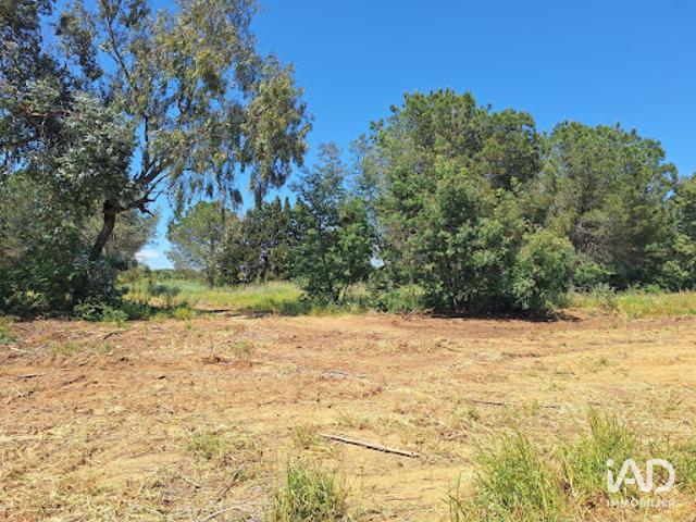Vente Terrain 2200 m2 Latour Bas Elne