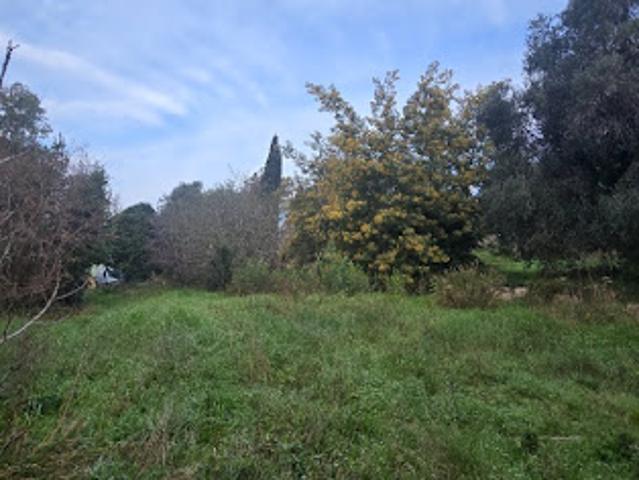 Vente Terrain 2200 m2 Valbonne