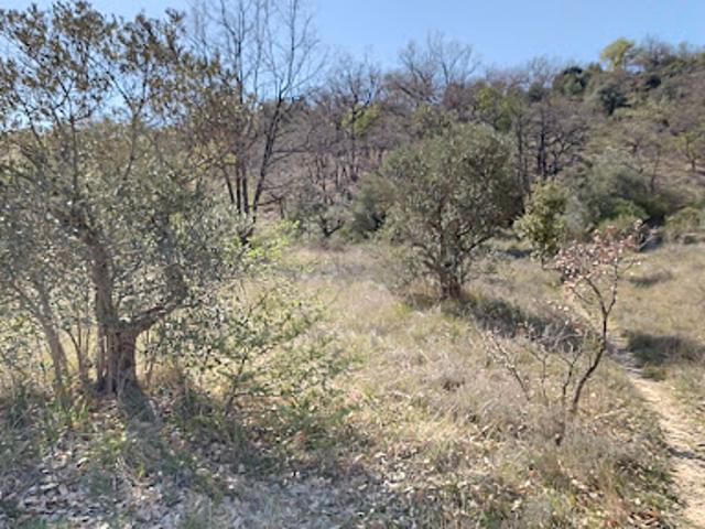 Vente Terrain 2206 m2 Malijai