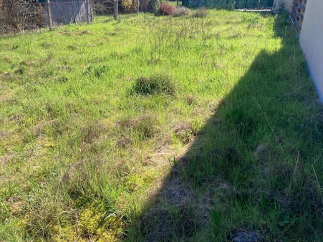 Vente Terrain 220 m2 Biscarrosse