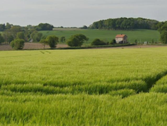 Vente Terrain 220 m2 Pleudihen sur Rance