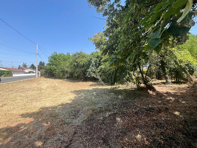 Vente Terrain 2222 m2 Vineuil