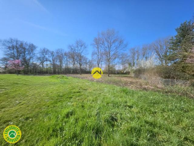 Vente Terrain 2235 m2 La Guerche sur l'Aubois
