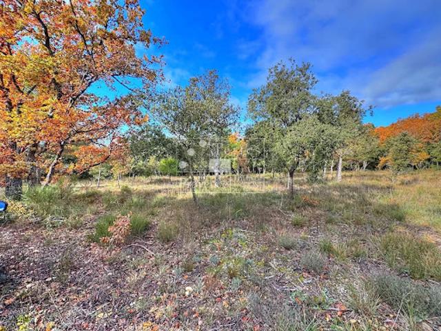 Vente Terrain 2250 m2 Baudinard sur Verdon
