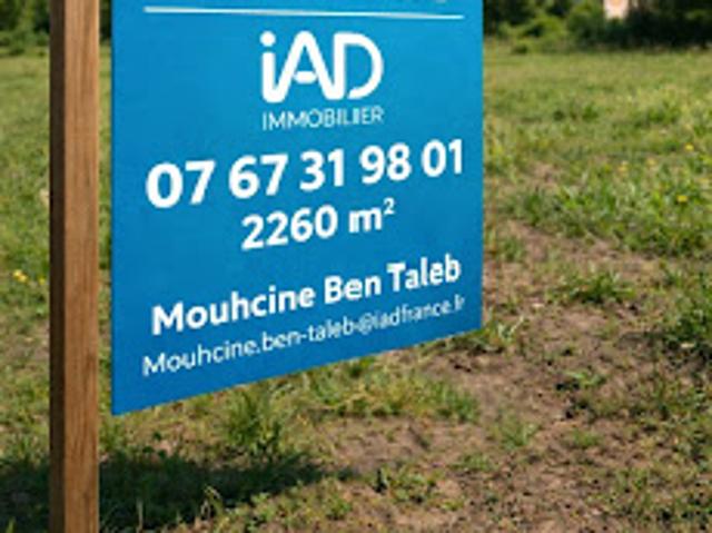 Vente Terrain 2260 m2 Saint Jean de Sauves