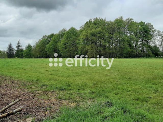Vente Terrain 2280 m2 Saint Auvent