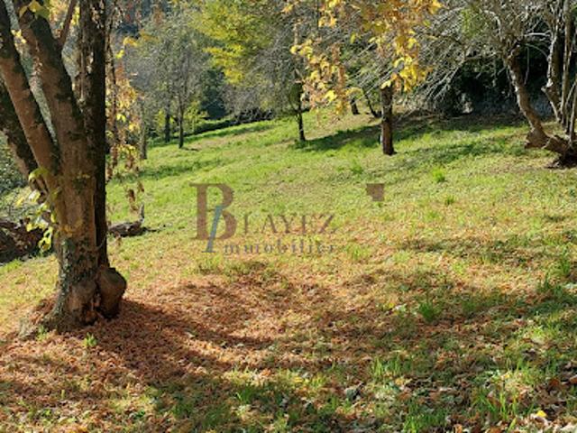 Vente Terrain 2280 m2 Tulle