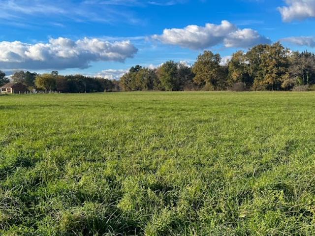 Vente Terrain 22871 m2 Saint remy