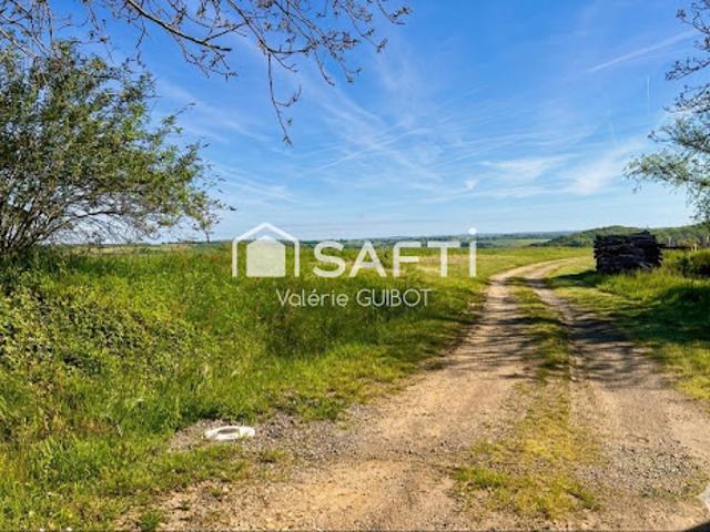 Vente Terrain 2289 m2 Saint Maur