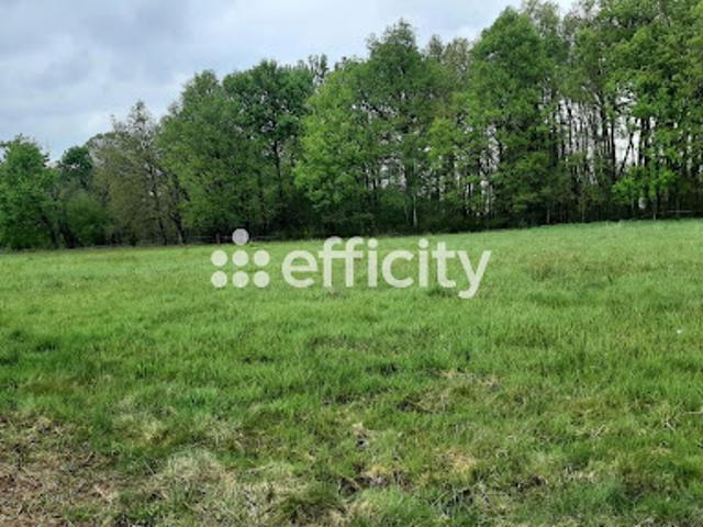 Vente Terrain 2298 m2 Saint Auvent