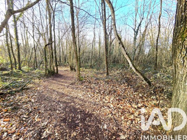Vente Terrain 22 165 m²