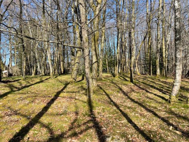 Vente Terrain 2300 m2 Ambazac