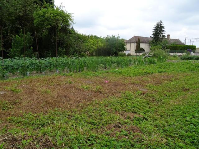 Vente Terrain 2300 m2 Fontaines