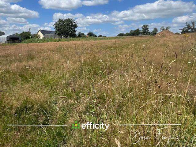 Vente Terrain 2300 m2 Moulines