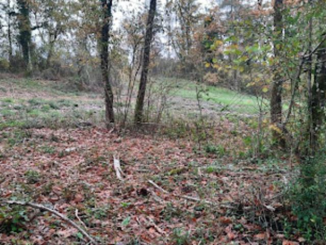 Vente Terrain 2300 m2 Maurens