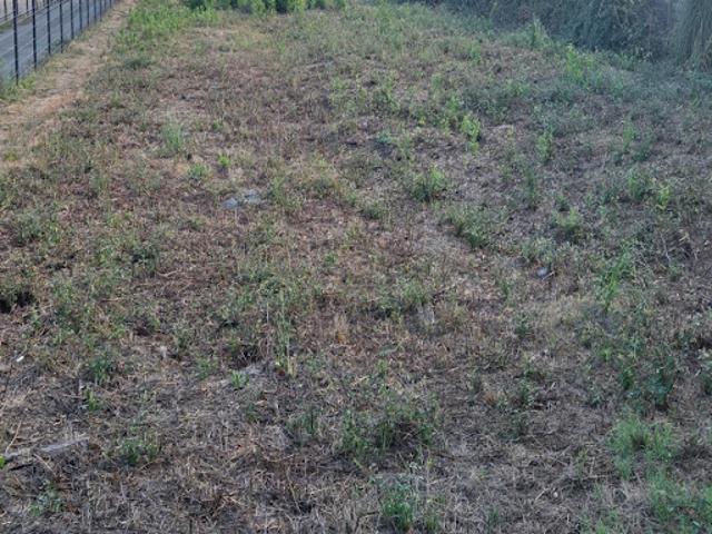 Vente Terrain 2300 m2 Saint Savin