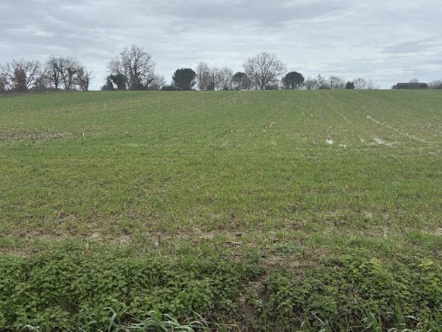 Vente Terrain 2300 m2 Samazan
