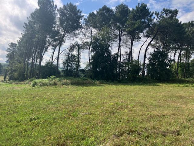 Vente Terrain 2300 m2 Samazan