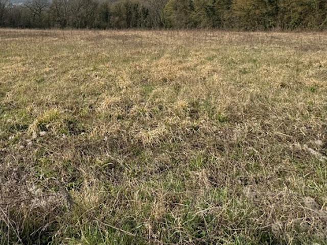 Vente Terrain 2305 m2 Montreuil aux Lions