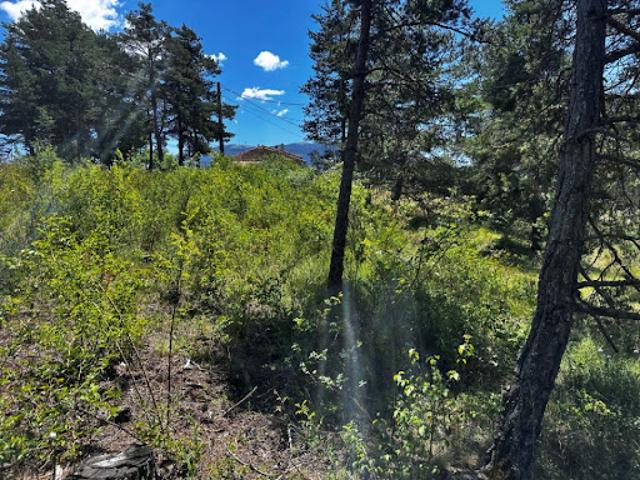 Vente Terrain 2310 m2 La Martre