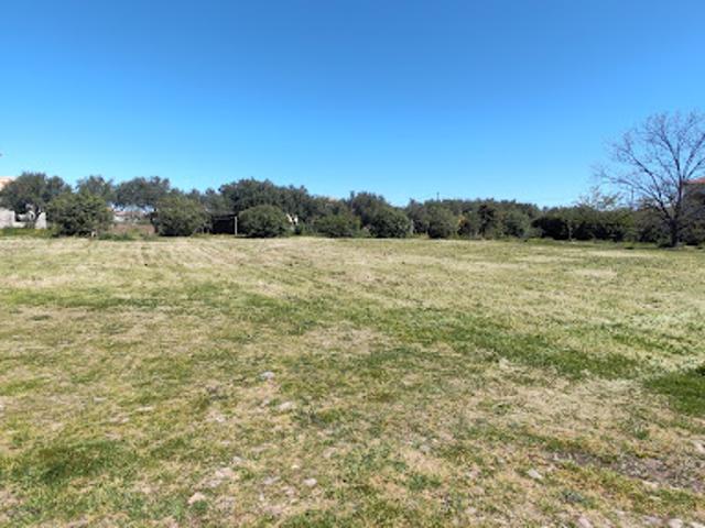 Vente Terrain 2324 m2 Lucciana