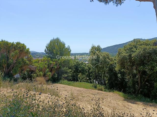 Vente Terrain 2343 m2 Pégomas