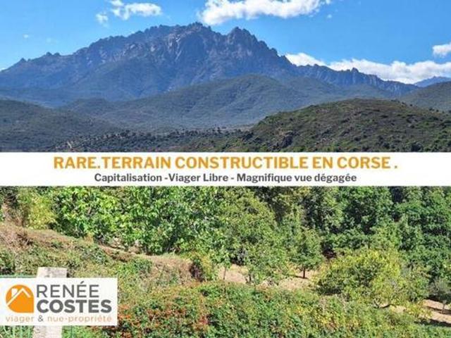 Vente Terrain 2347 m2 Corte