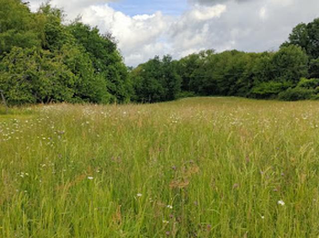 Vente Terrain 0 m2 Juillac