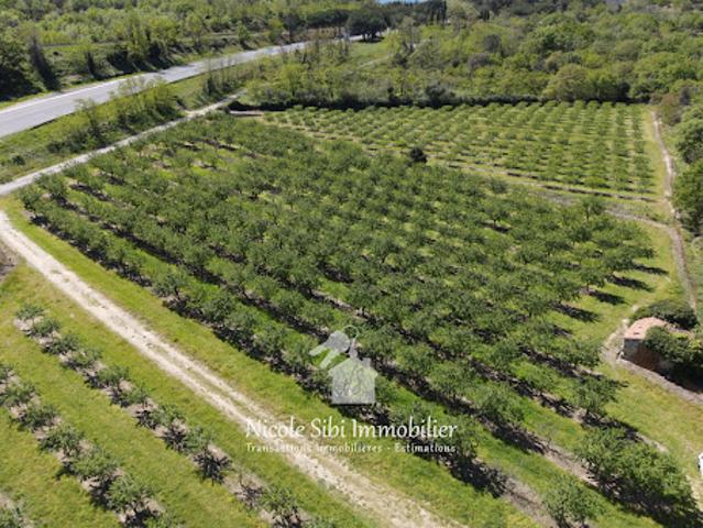 Vente Terrain 23720 m2 Rodès