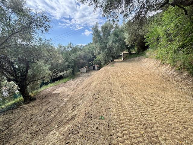 Vente Terrain 2385 m2 Contes