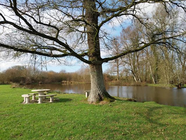 Vente Terrain 23912 m2 Bréal sous Vitré