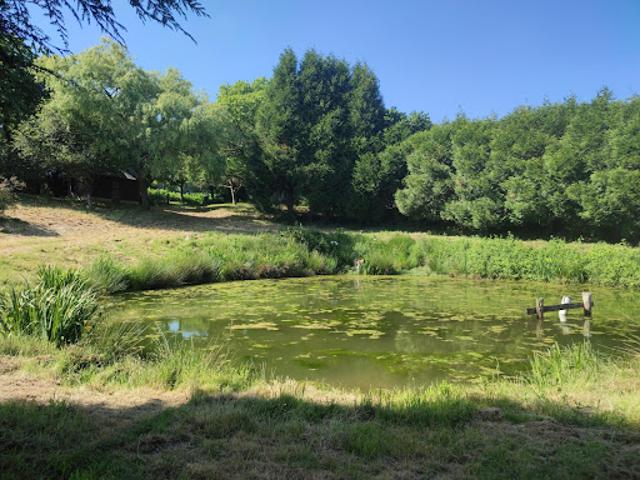 Vente Terrain 2393 m2 Sainte Gemmes le Robert