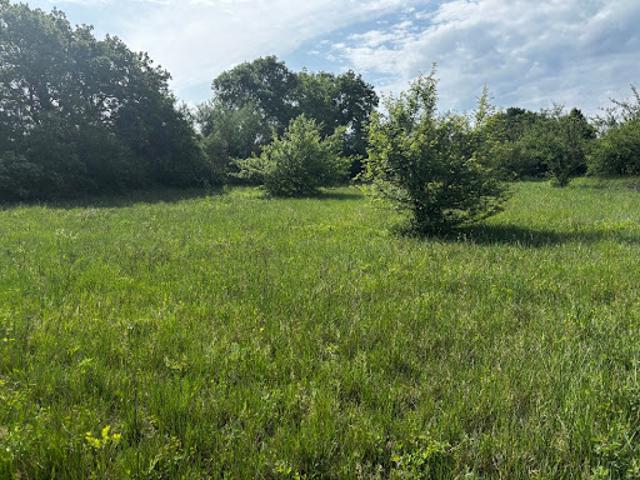 Vente Terrain 2395 m2 Barjac