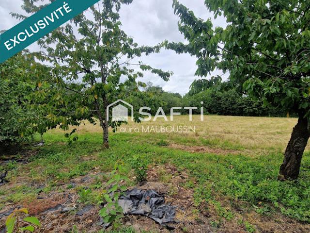 Vente Terrain 2395 m2 Grand Auverné