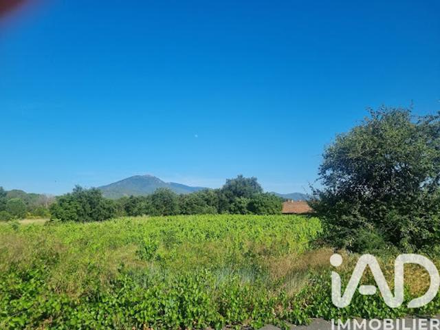 Vente Terrain 239 m2 Saint Jean Pla de Corts