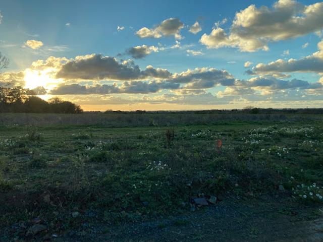 Vente Terrain 341 m2 Pleurtuit