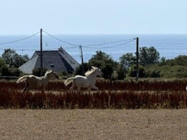 Vente Terrain 3430 m2 Plozévet