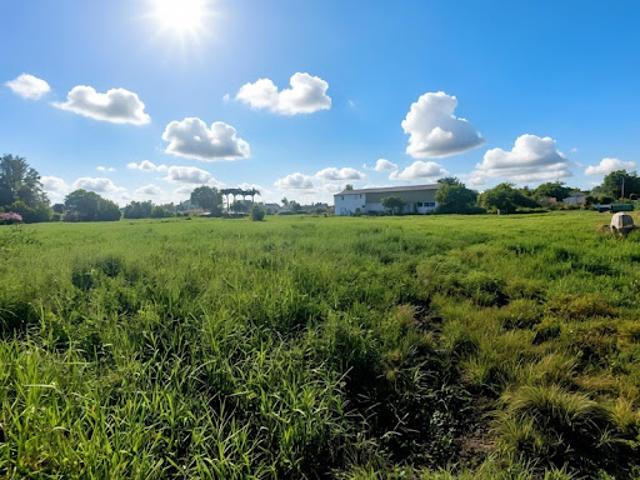 Vente Terrain 3441 m2 Sainte Anne