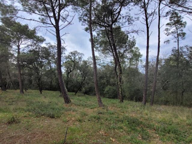 Vente Terrain 344 m2 Suze la Rousse