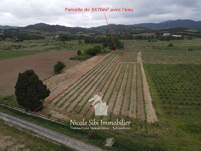 Vente Terrain 3470 m2 Estagel
