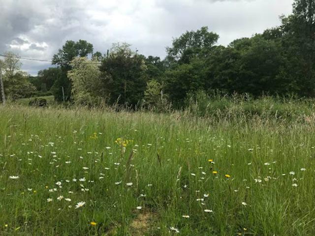 Vente Terrain 0 m2 Orbessan