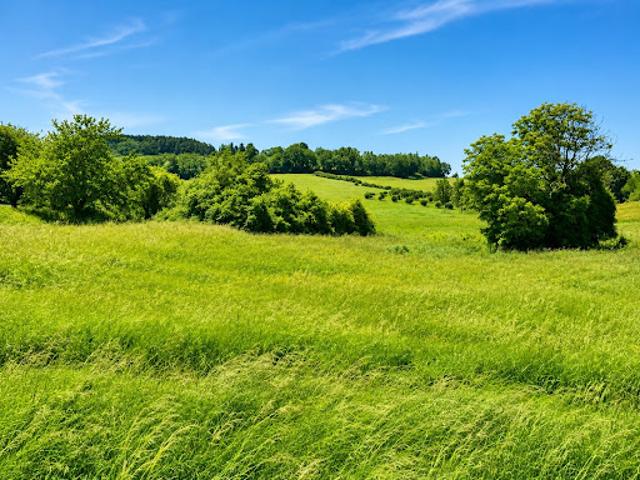 Vente Terrain 3500 m2 Léguillac de l'Auche