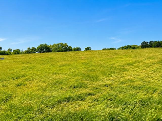 Vente Terrain 3500 m2 Léguillac de l'Auche