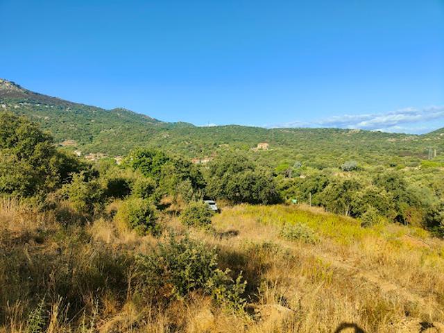 Vente Terrain 3502 m2 Monticello